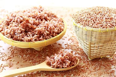 is white or brown rice better for dogs